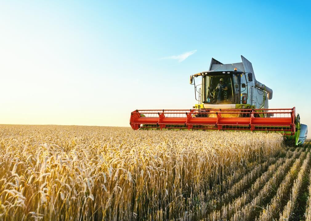 28% of the world’s agricultural area is used to produce wasted food